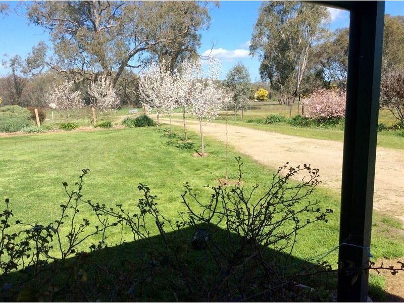 269 Clear Creek Road, Byawatha VIC 3678