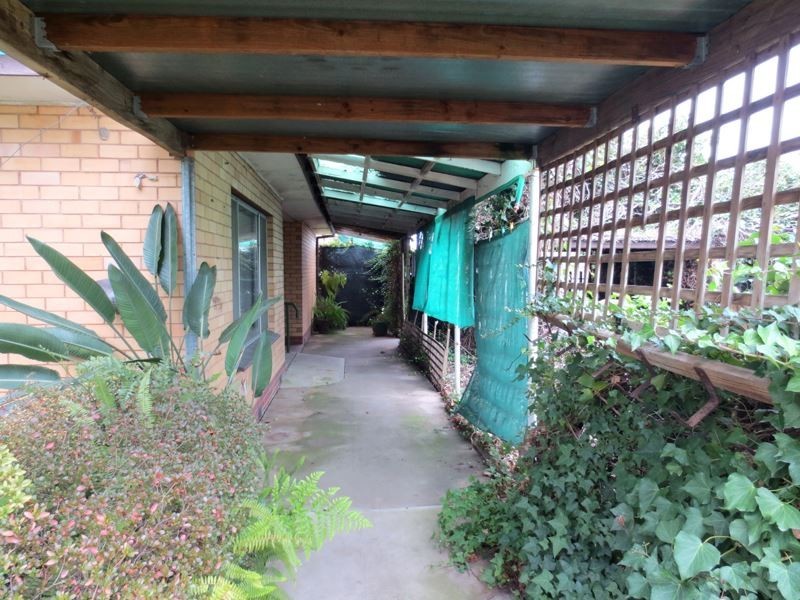 164 Rowan Street, Wangaratta VIC 3677