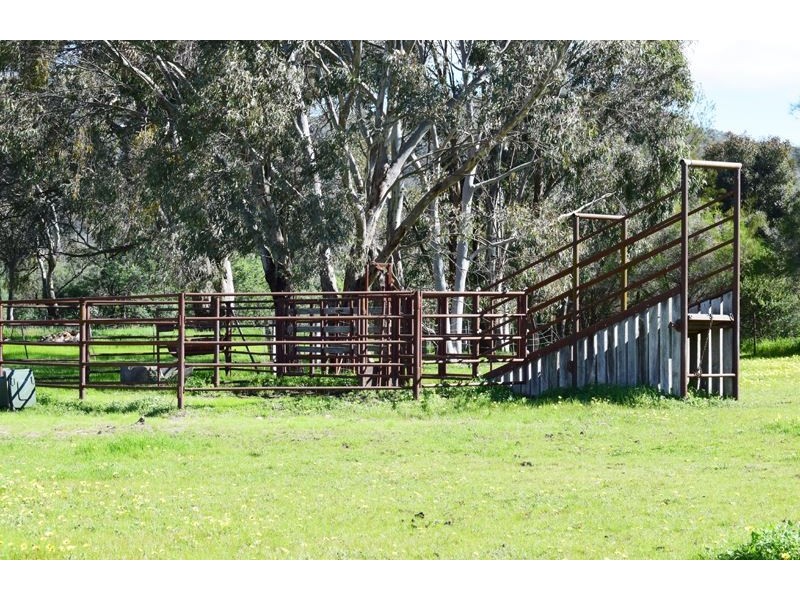 816 Wangandary Road, Wangandary VIC 3678