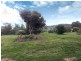9 Kirby Street, Thoona VIC 3726