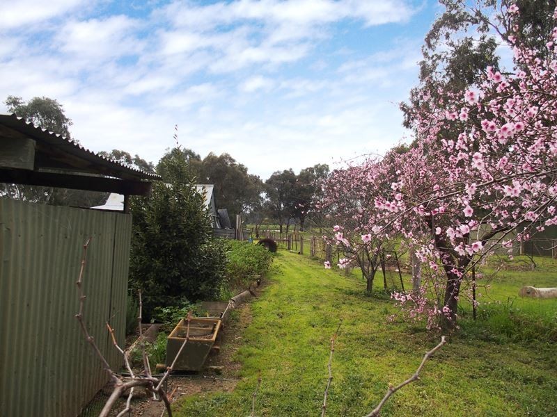 61 Bowser Londrigan Lane, Byawatha VIC 3678