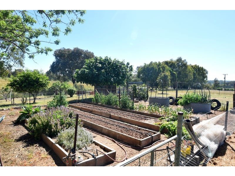 175 Thrums Road, Greta West VIC 3675