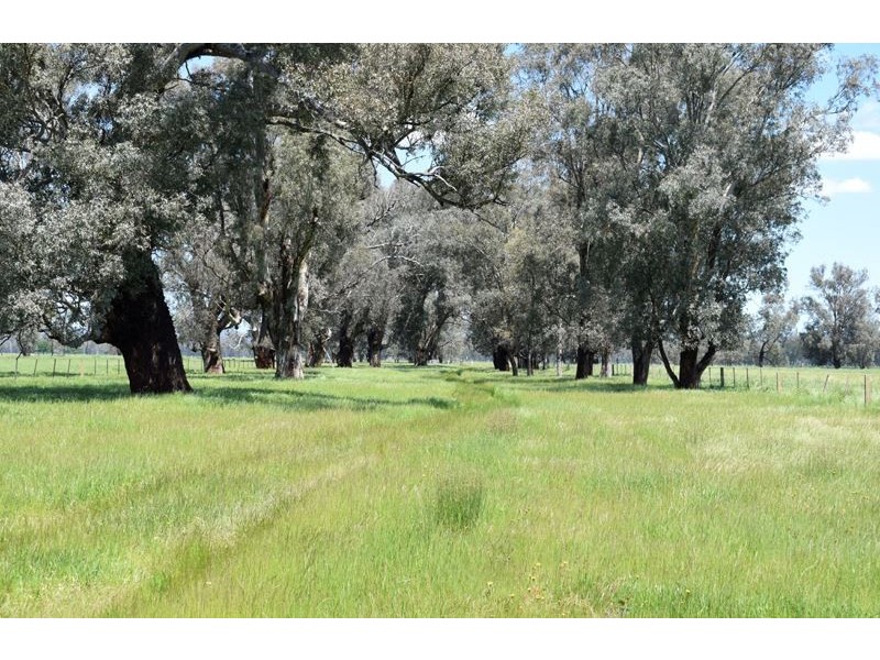 00 Docker Carboor Road, Bobinawarrah VIC 3678