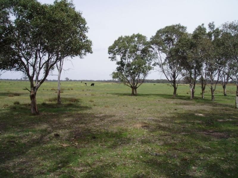 320 Fernbank-Glenaladale Road, Fernbank VIC 3864