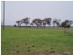 320 Fernbank-Glenaladale Road, Fernbank VIC 3864
