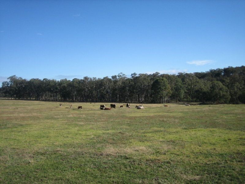 268 McIntyres Road, Briagolong VIC 3860