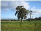 61 Old Flynn Road, Flynn VIC 3844