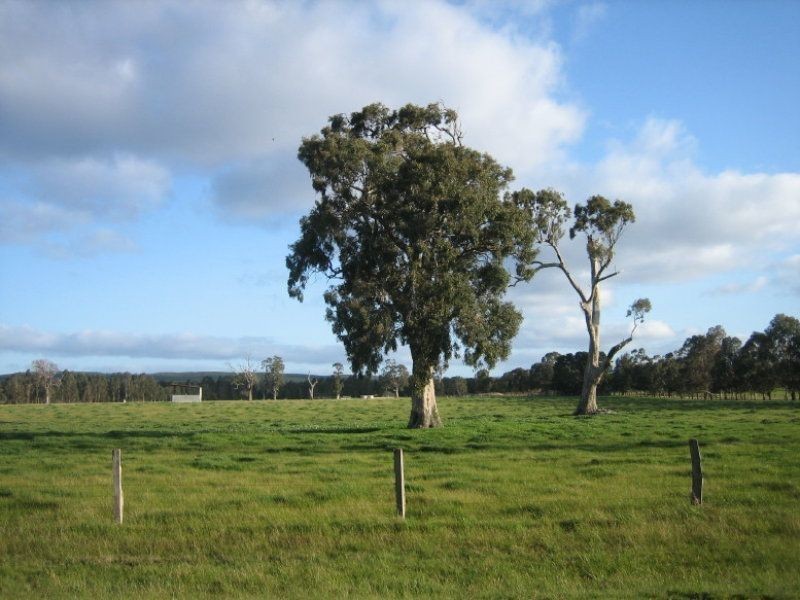 61 Old Flynn Road, Flynn VIC 3844