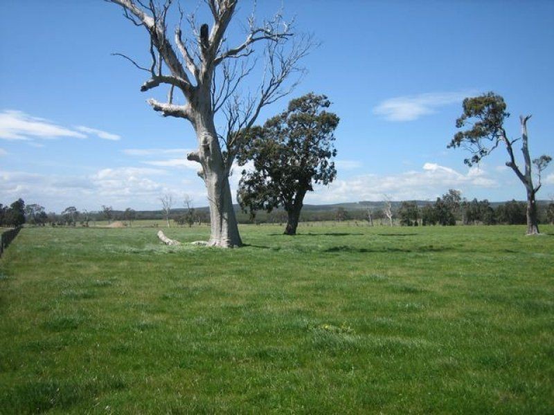 61 Old Flynn Road, Flynn VIC 3844
