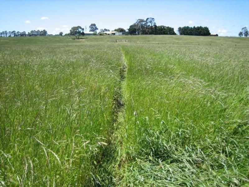 86 Colliers Lane, Flynn VIC 3844