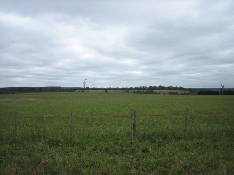 2231 Gormandale-Stradbroke Road, Willung VIC 3847