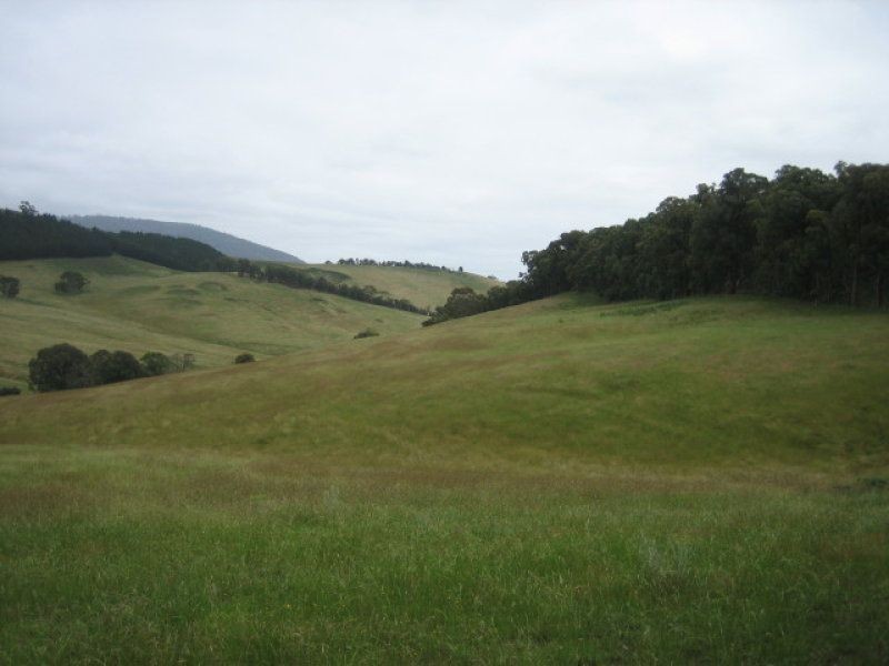 212 Kangaroo Track, Omeo VIC 3898