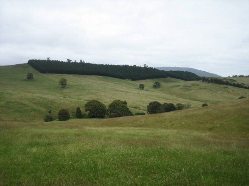 212 Kangaroo Track, Omeo VIC 3898