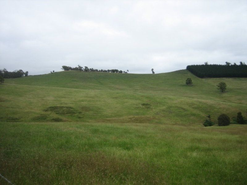 212 Kangaroo Track, Omeo VIC 3898