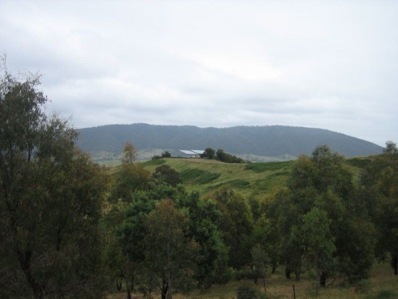 212 Kangaroo Track, Omeo VIC 3898