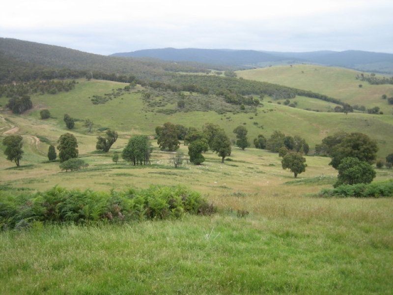 212 Kangaroo Track, Omeo VIC 3898