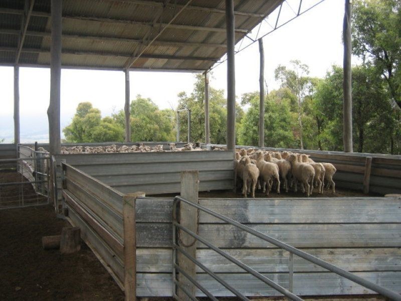 212 Kangaroo Track, Omeo VIC 3898