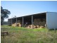 503 Monaro Highway, Noorinbee VIC 3890