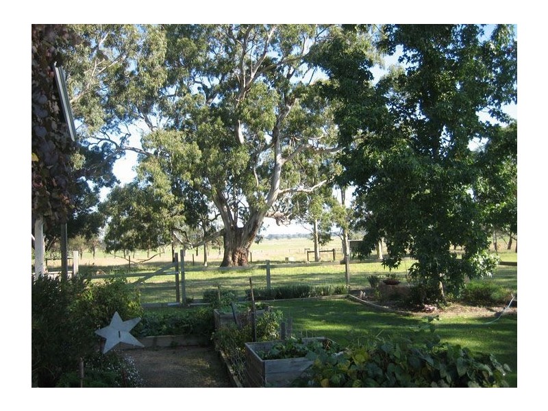 598 Riverview Rd, Heyfield VIC 3858
