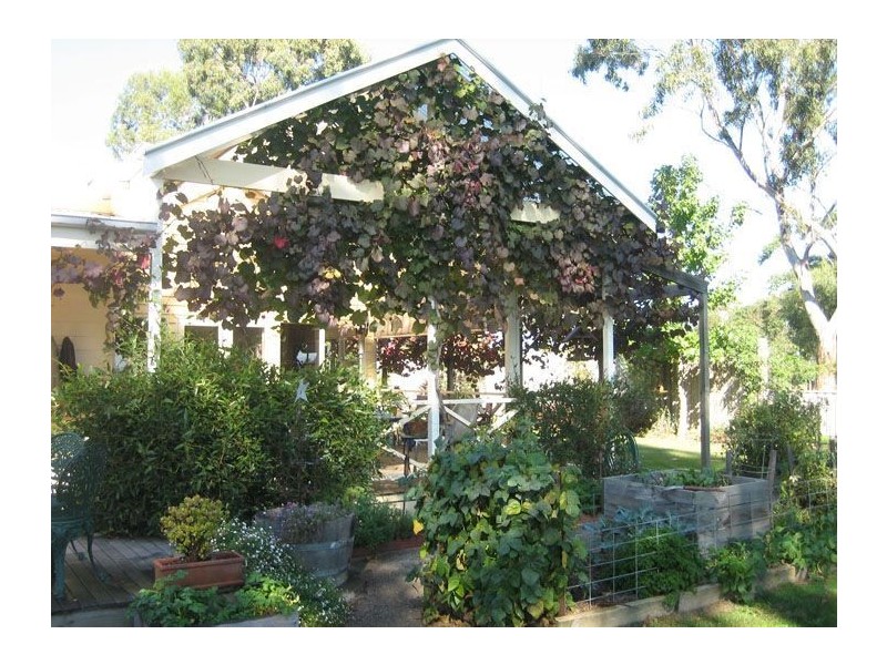 598 Riverview Rd, Heyfield VIC 3858