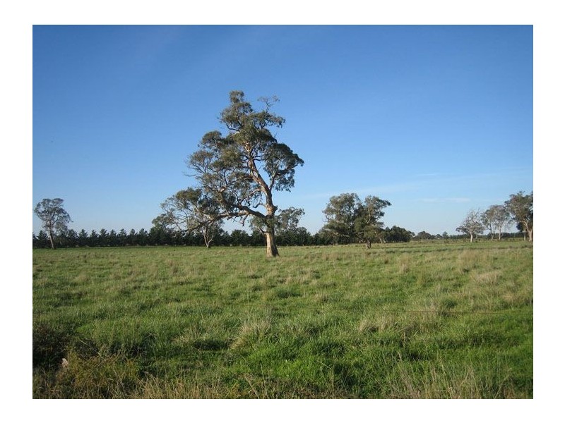 419 Freshwaters Rd, Kilmany VIC 3851