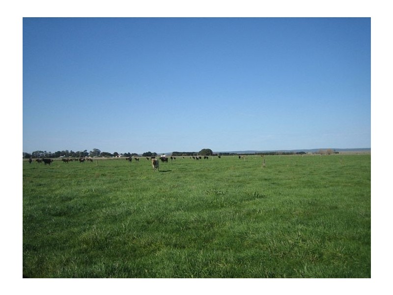 535 Nambrok RD, Nambrok VIC 3847