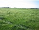 535 Nambrok RD, Nambrok VIC 3847