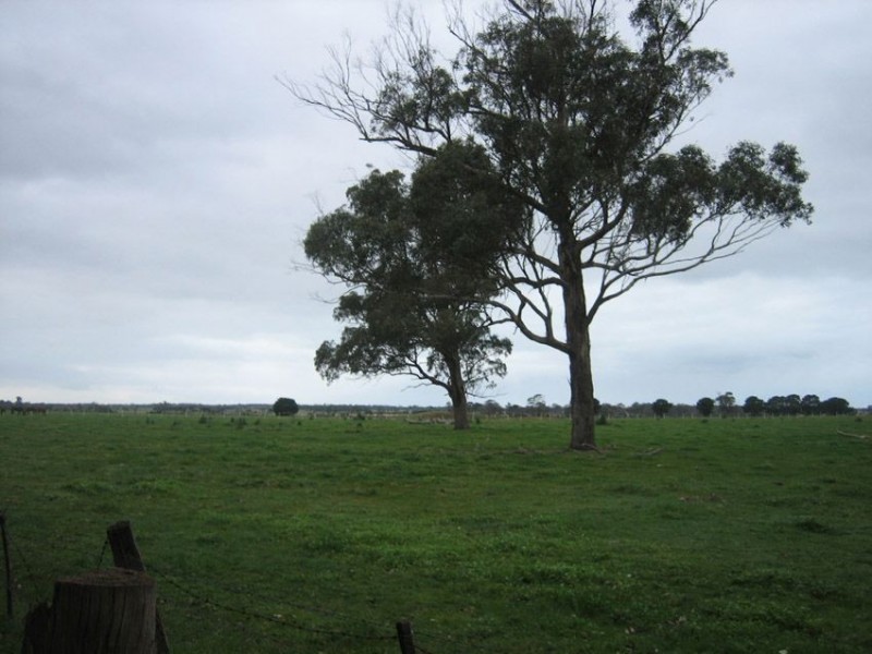 80 Four Mile Creek Rd, Darriman VIC 3851