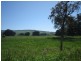 80 Christensens Rd, Tyers VIC 3844