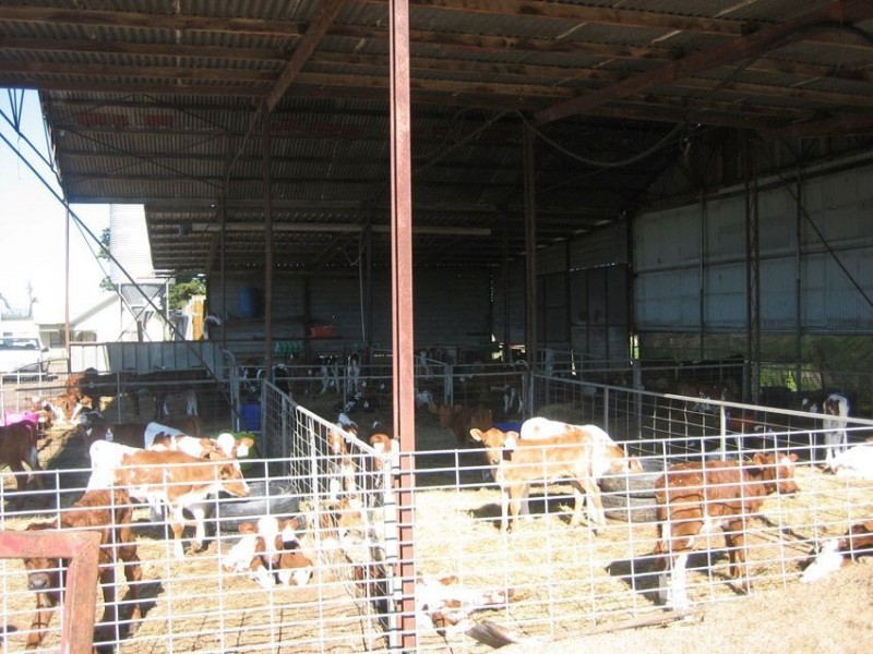 125 Sawyers Lane, Tyers VIC 3844