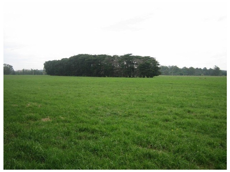 125 Sawyers Lane, Tyers VIC 3844