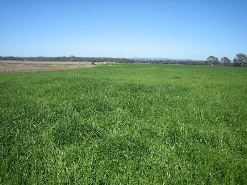 225 Lower Cairnbrook Rd, Glengarry VIC 3854