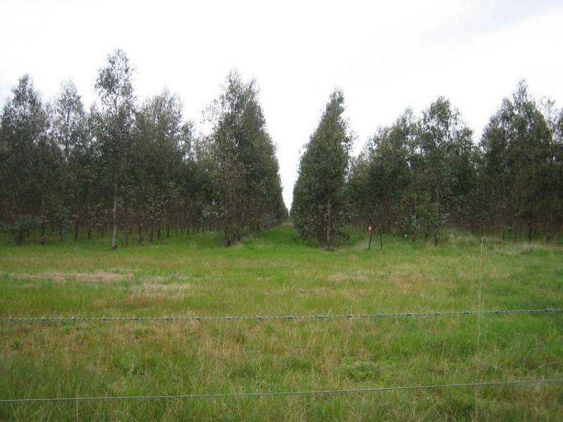 1175 Fernbank – Glenaladale Rd, Fernbank VIC 3864