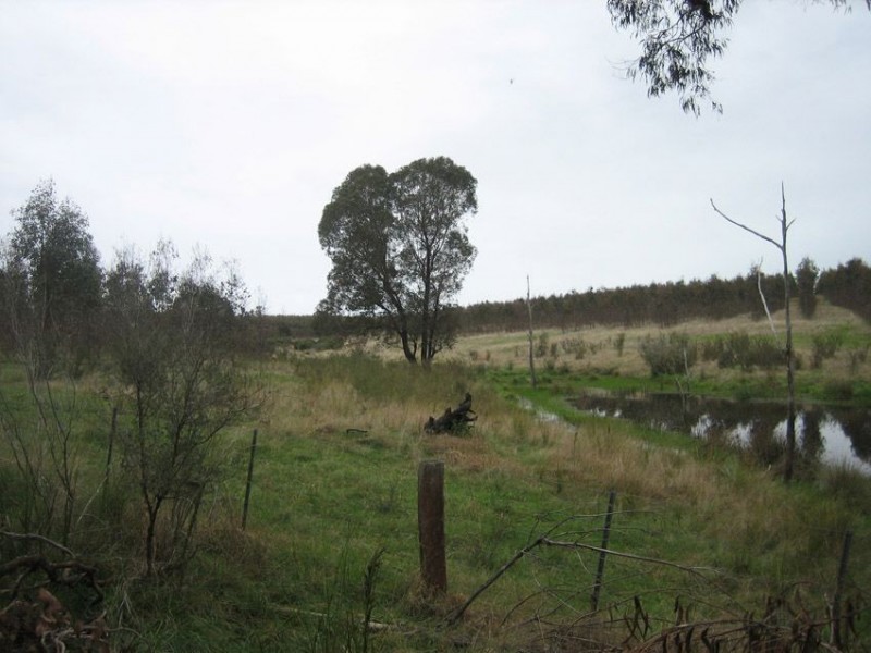 1175 Fernbank – Glenaladale Rd, Fernbank VIC 3864