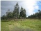 4155 South Gippsland Highway, Giffard West VIC 3851