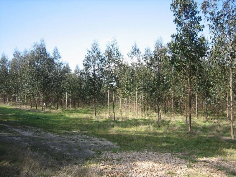 4155 South Gippsland Highway, Giffard West VIC 3851