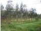 1672 Gormandale- Stradbroke Rd, Willung VIC 3847