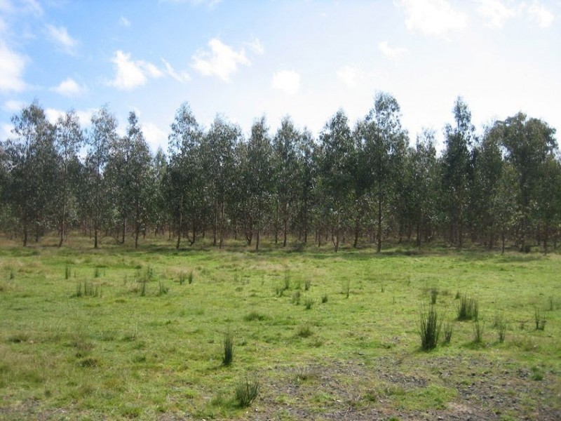 3200 South Gippsland Highway, Giffard West VIC 3851