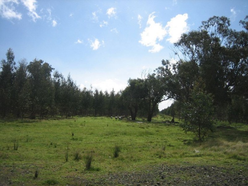 3200 South Gippsland Highway, Giffard West VIC 3851