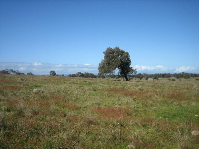 569 Tinamba Seaton Rd., Tinamba VIC 3859