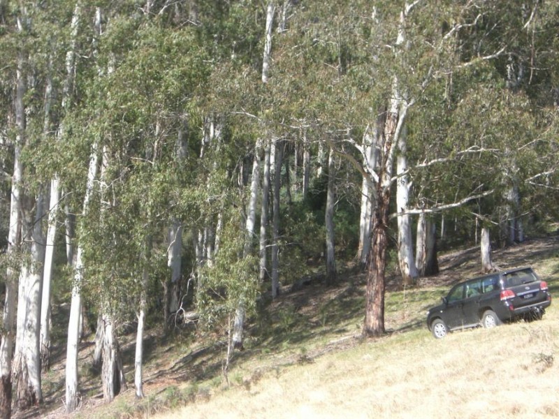 177 Mount Way Track, Yalmy VIC 3885