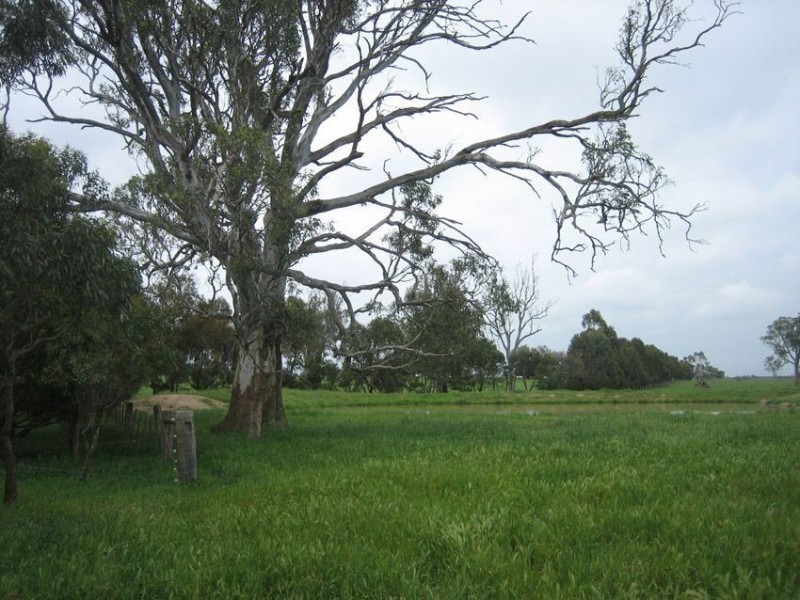85 Colliers Lane, Flynn VIC 3844