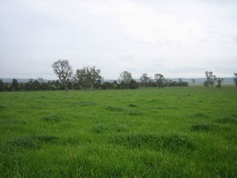 85 Colliers Lane, Flynn VIC 3844