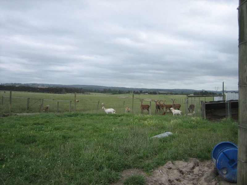 106 Hazelwood Estate Rd., Hazelwood VIC 3840