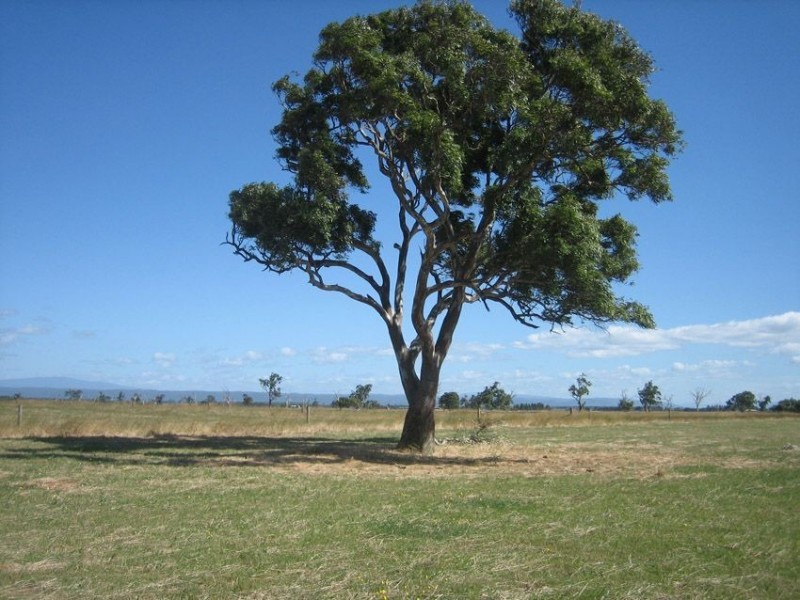 115 Lower Cairnbrook Rd., Glengarry VIC 3854