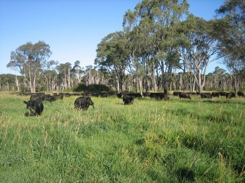 596 Settlement Rd, Kilmany VIC 3851