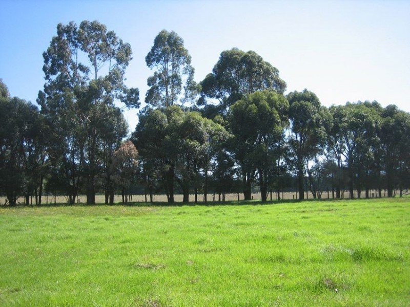 503 Monaro Highway, Noorinbee VIC 3890