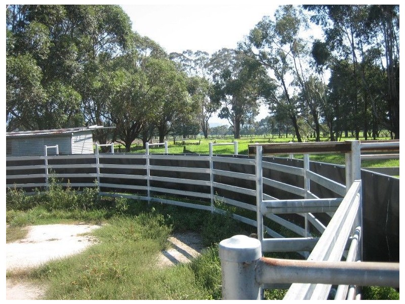 503 Monaro Highway, Noorinbee VIC 3890