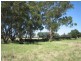 503 Monaro Highway, Noorinbee VIC 3890