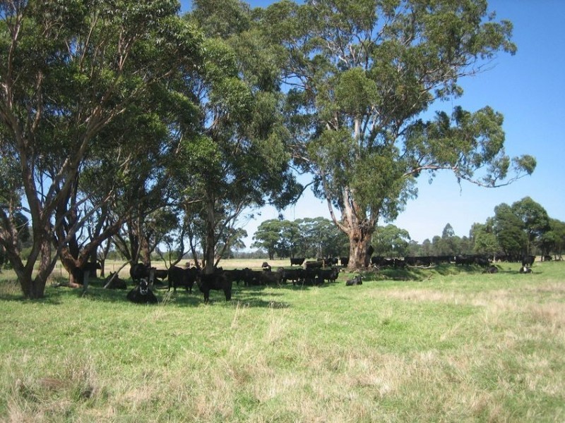 503 Monaro Highway, Noorinbee VIC 3890
